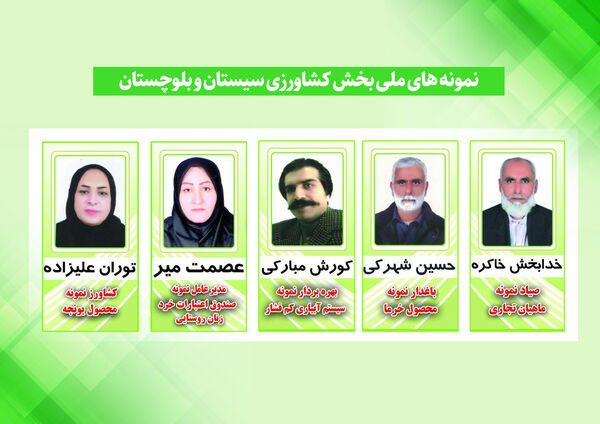 برترین های ملی بخش کشاورزی سیستان و بلوچستان تجلیل شدند