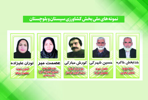 برترین های ملی بخش کشاورزی سیستان و بلوچستان تجلیل شدند