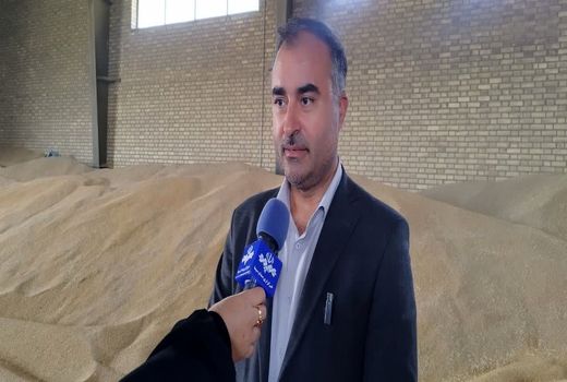 تسویه کامل مطالبات کلزاکاران آذربایجان‌غربی/ پرداخت ۱۵۶ میلیارد تومان به کشاورزان