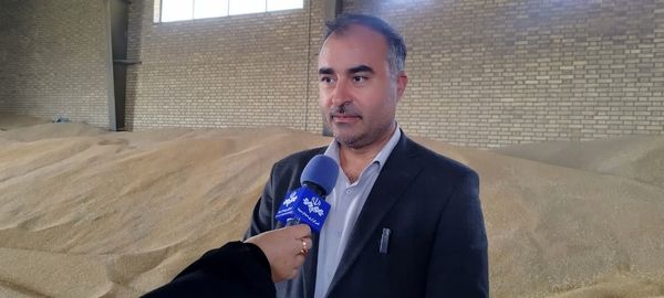 تسویه کامل مطالبات کلزاکاران آذربایجانغربی/ پرداخت ۱۵۶ میلیارد تومان به کشاورزان