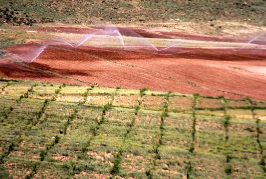 نمایی از طرح 2300 هکتاری سودجان/فیلم