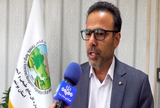 سد‌های آبخیزداری بوشهر بیش‌از ۳۰ میلیون مترمکعب آب ذخیره کردند