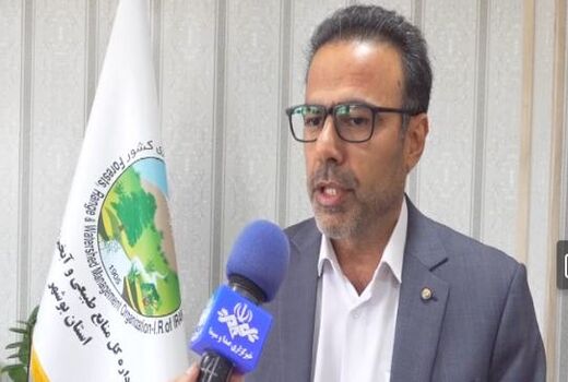 سد‌های آبخیزداری بوشهر بیش‌از ۳۰ میلیون مترمکعب آب ذخیره کردند