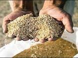 اجرای طرح زارع به زارع برای رفع نیاز بذور کشاورزان خراسان شمالی