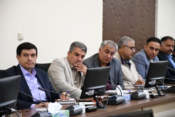 بررسی راهبردهای هم‌افزایی با شرکت‌های دانش‌بنیان برای ارتقای بهره‌وری و امنیت غذایی