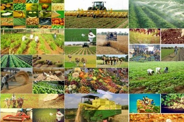 شرکتهای سهامی زراعی الگوی موفق علمی برای افزایش بهرهوری