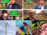 نصب و راه اندازی سامانه‌های ضدسرما در سطح باغات شهرستان مراغه