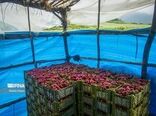 بهره‌برداری ۱۴۸ پروژه به مناسبت هفته جهاد کشاورزی 