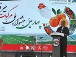 تبدیل دشت جیرفت به منطقه ویژه کشاورزی، انقلاب بزرگ در صادرات جنوب کرمان است/ صادرات 176 هزار تن مرکبات در 10 ماه گذشته