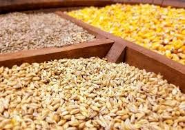 بیش از 7 هزارتن نهاده دامی به استان چهارمحال و بختیاری اختصاص یافت