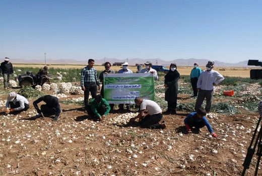 پایش مزارع و باغات برتر و شاخص استان زنجان