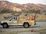 2200 هکتار از مراتع سیستان وبلوچستان علیه ملخ صحرایی سم‌پاشی شد