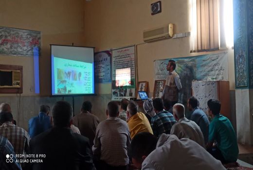 پیشگیری از بیماری خامج در نخلستان های آبادان 