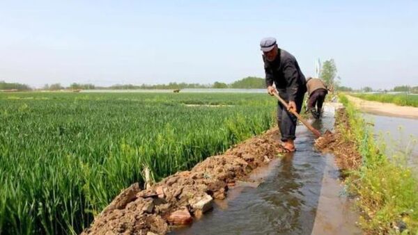 مالچ، یخ‌آب و مدیریت مشارکتی حقابه؛ تجربه‌های بومی کشاورزان در بهینه‌سازی مصرف آب