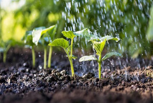  614 پروژه ملی آب و خاک پنجشنبه افتتاح می‌شود