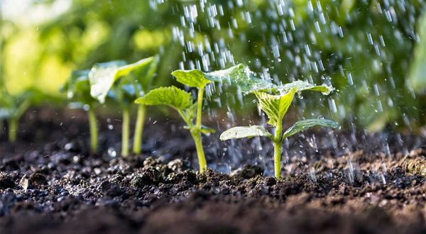  614 پروژه ملی آب و خاک پنجشنبه افتتاح می‌شود