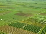 بررسی ۱۶ پرونده اصلاحات ارضی در جلسه شورای استان فارس