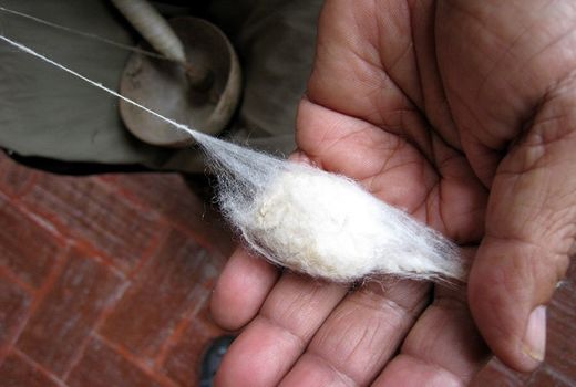 نیاز به اصلاح نظام مالیاتی برای پیله‌های وارداتی داریم