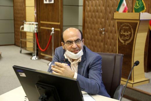 لزوم تسریع در انتقال بذرهای مقاوم گندم به مزارع