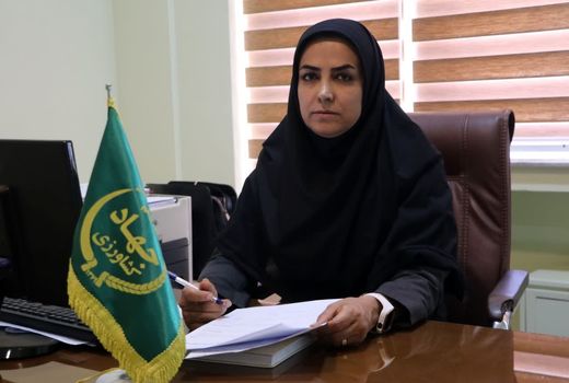 تعیین تکلیف ۲۹ پرونده در کارگروه تسهیل و رفع موانع تولید بخش کشاورزی قزوین