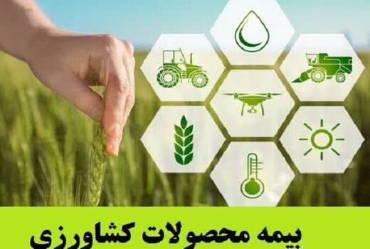 همیار بیمه کشاورزی در خرمشهر
