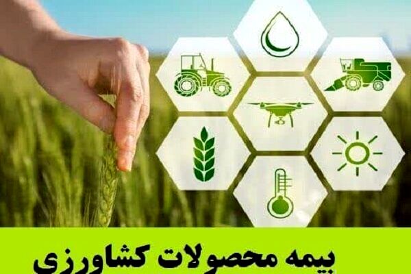 همیار بیمه کشاورزی در خرمشهر