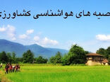 تسریع در برداشت محصولات باغی و زراعی با هشدار هواشناسی