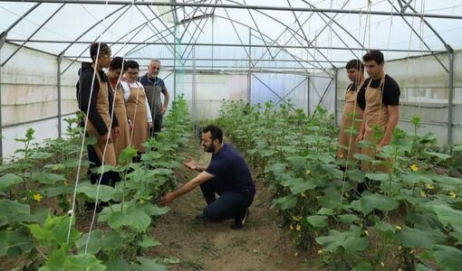 ۵۳ استاندارد آموزش شغلی برای تربیت کشاورزان آینده تدوین شد