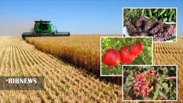 افزایش تولیدات کشاورزی در استان کردستان
