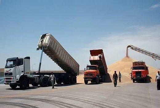 رئیس سازمان جهادکشاورزی استان گلستان باقی مانده مطالبات گندم کاران را پیگیری کرد