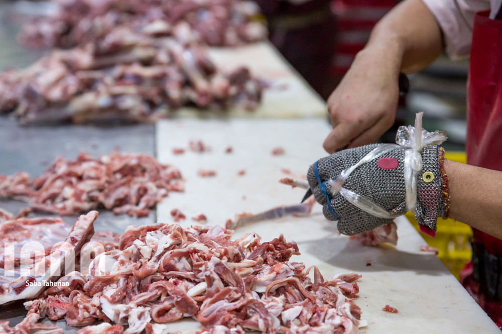 بسته‌بندی محصولات پروتئینی