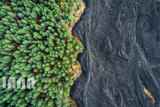 سرازیری گدازه‌ فوران آتشفشان به جنگلی در سیسیل 