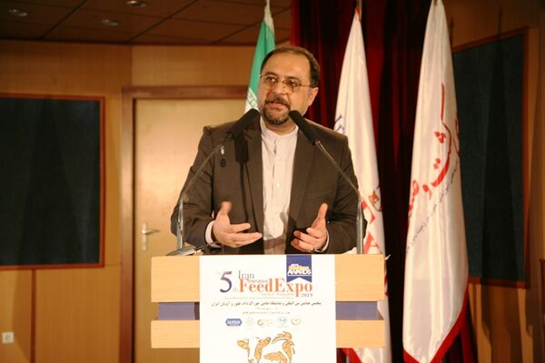 سرمایه گذاری 11 هزار میلیارد تومانی در صنعت طیور