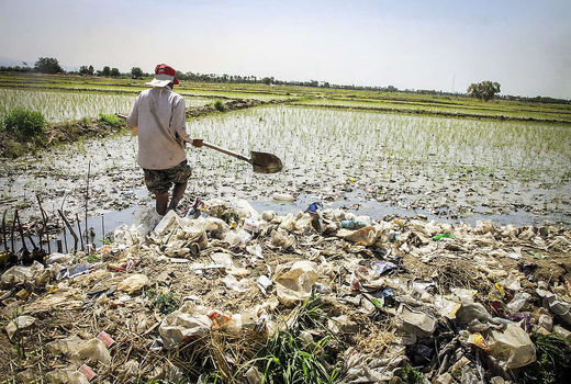 اجرای برنامه‌ی جهانی «ایمنی فاضلاب» در مزارع جنوب تهران