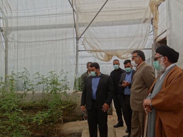 بازدید رییس سازمان و نماینده ولی فقیه در سازمان از بخش کشاورزی شهرستان درمیان