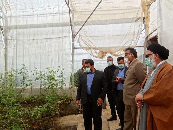 بازدید رییس سازمان و نماینده ولی فقیه در سازمان از بخش کشاورزی شهرستان درمیان