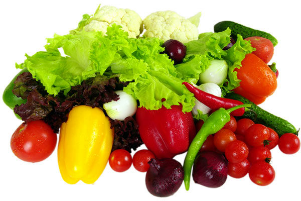 آغاز طرح بهبود تغذیه ویژه زنان روستایی وعشایری شهرستان مرودشت