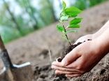 ترویج کاشت یک میلیارد درخت ادامه دارد