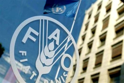 فائو: ایران جزو ۱۰ کشور نخست دنیا در صادرات ۱۱ محصول شد 