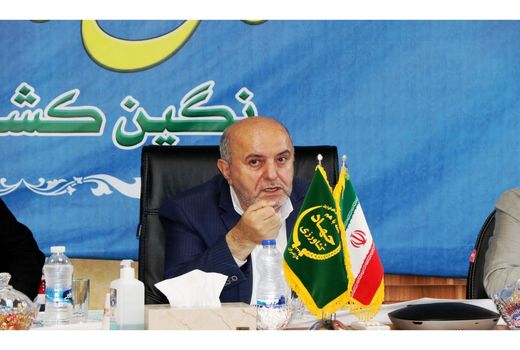 قیمت خرید پرتقال در باغ افزایش یابد/ صادرات 160 هزارتن مرکبات