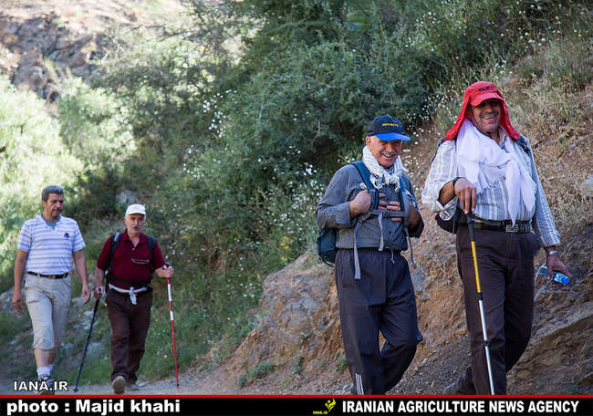 کوه پیمایی