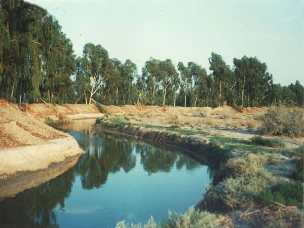پاسخ به دغدغه های دوستداران محیط زیست در خصوص قطع درختان در گربایگان