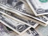 تأخیر در ترخیص نهاده‌ها فشار مضاعفی بر تولیدکنندگان وارد کرد/ هم‌زمانی واردات گوشت و مشکلات ارزی نهاده‌ها