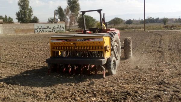 آغاز کشت کلزا در رامهرمز