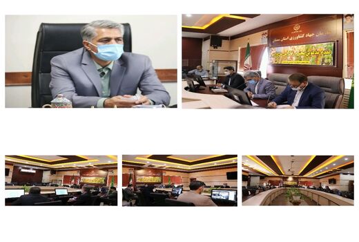 رفع نیازهای بخش کشاورزی استان سمنان با استفاده از ظرفیت دانش‌بنیان‌ها