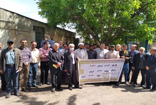 کارگاه آموزشی پیوند درختان گردو در شهرستان آوج برگزار شد