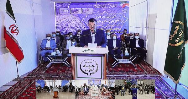 بهره برداری از 571 پروژه بخش دام و طیور در کشور 