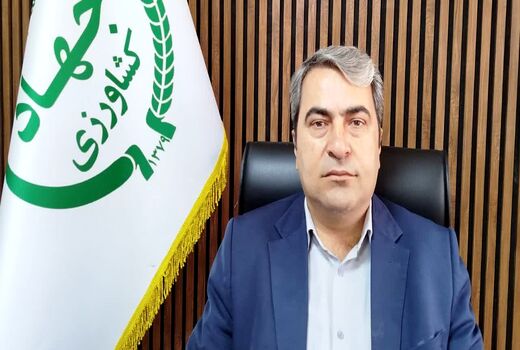 تقویت امنیت غذایی با رعایت نکات ایمنی و پیشگیری از آتش سوزی در فصل برداشت