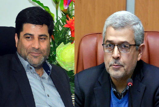 نورافشانی صحن وشبستان حضرت فاطمه(س) درحرم مطهرعلوی(ع) با همت خانواده بزرگ جهادکشاورزی