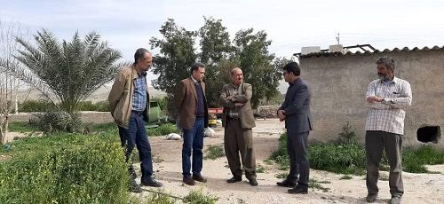 عزم جدی در نهضت گلخانه ای ایجاد شده است